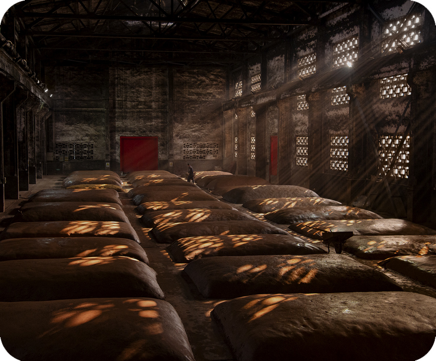 w66(中国区)最老牌官方网站