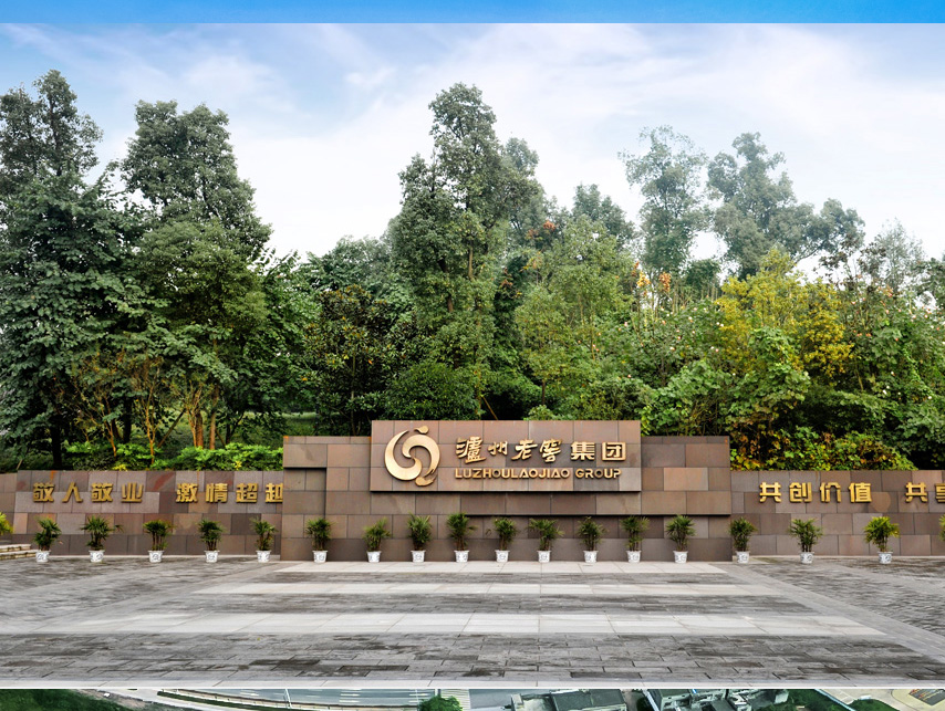 w66(中国区)最老牌官方网站