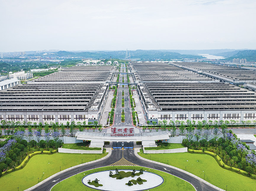 w66(中国区)最老牌官方网站