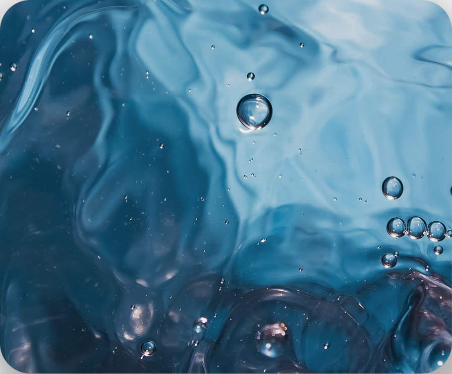 w66(中国区)最老牌官方网站