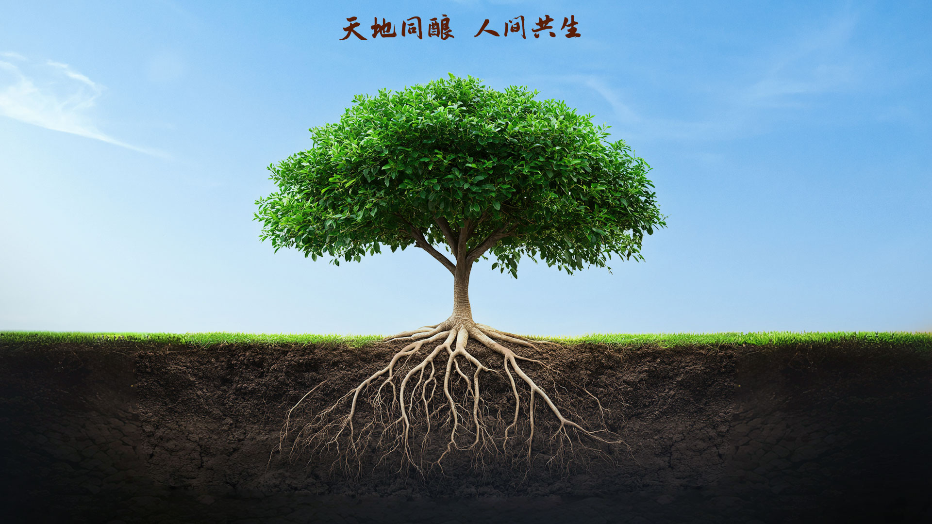 w66(中国区)最老牌官方网站